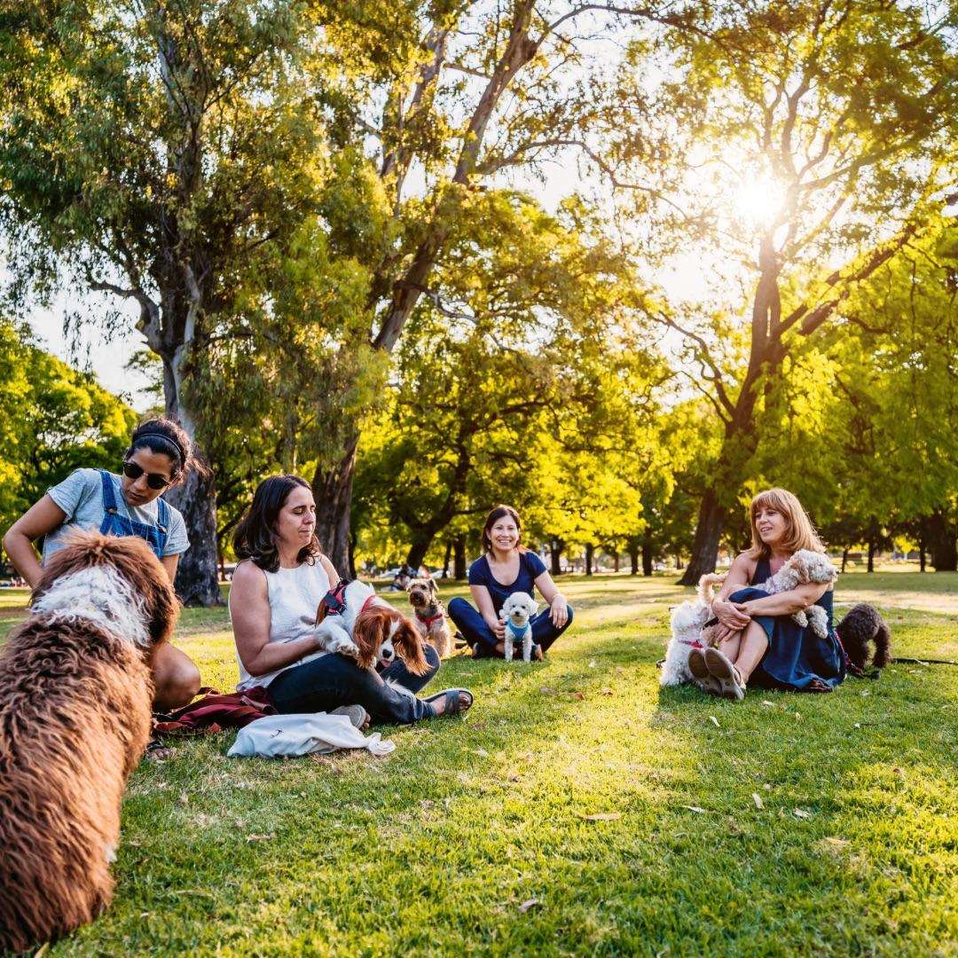 Quality-Time-Event mit Hund
