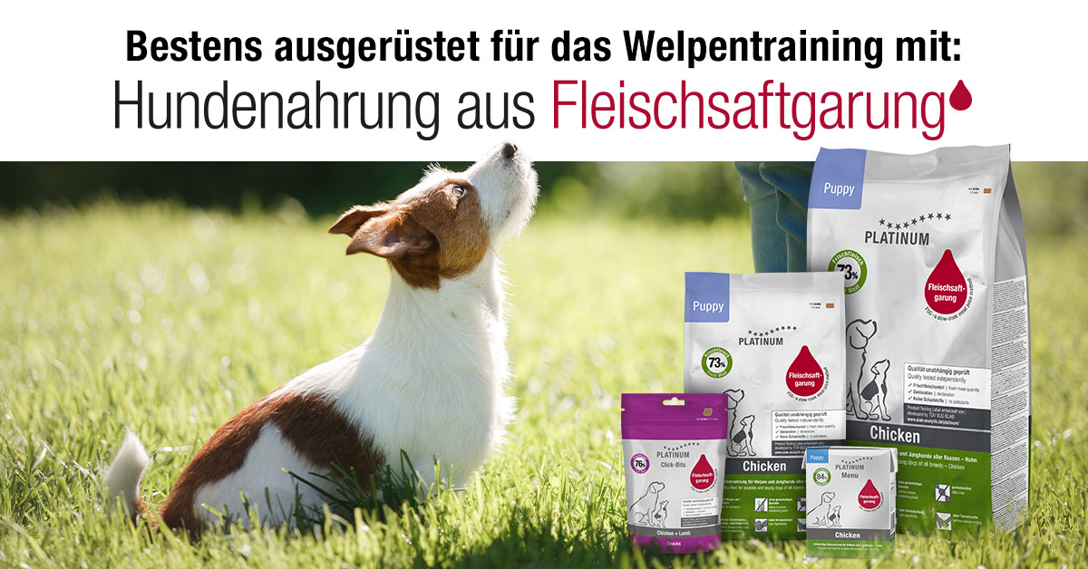 Platinum — Hundenahrung aus Fleischsaftgarung, bestens ausgerüstet für das Welpentraining