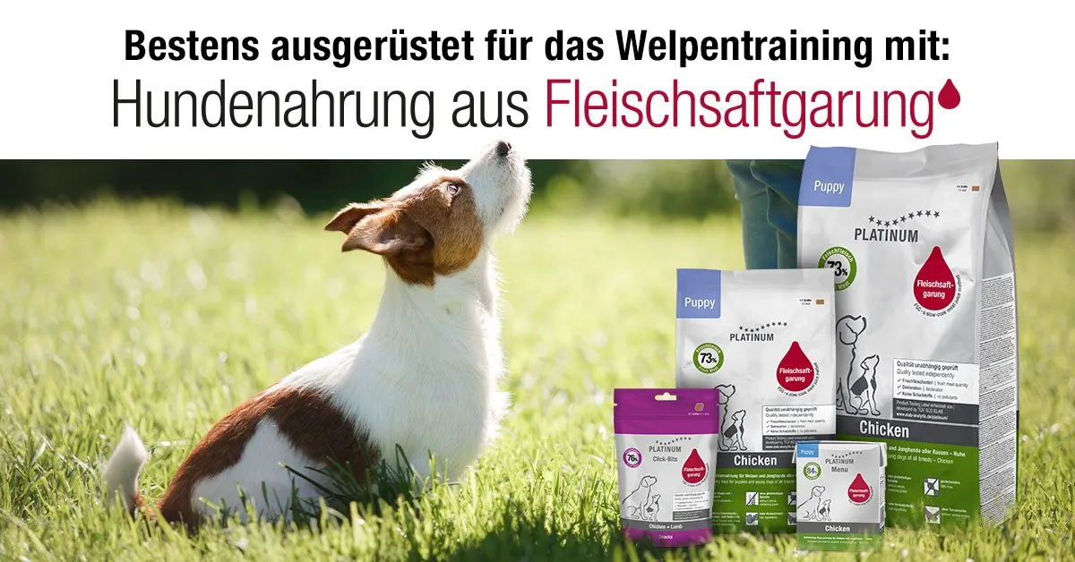 Platinum — Hundenahrung aus Fleischsaftgarung, bestens ausgerüstet für das Welpentraining