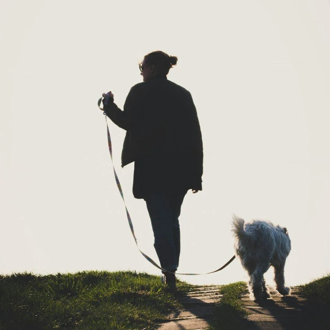 Frau geht mit ihrem Hund an lockerer Leine spazieren